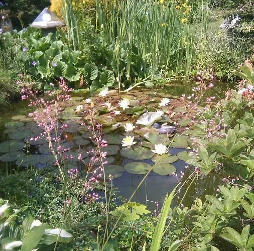 ホームステイ Villa- Jas ポラニツァ・ズドゥルイ